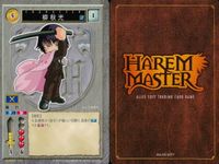 ハーレムマスター HAREM MASTER ALICE SOFT TRADING CARD GAME カード まとめ キャラクター 岳画殺 柳秋光 鴉葉月 9枚 451 485 475 アリスソフト TCG サムネイル 5