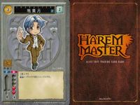 ハーレムマスター HAREM MASTER ALICE SOFT TRADING CARD GAME カード まとめ キャラクター 鴉葉月 9枚 NUMBER 478 アリスソフト TCG サムネイル 5