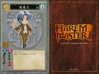 ハーレムマスター HAREM MASTER ALICE SOFT TRADING CARD GAME カード まとめ キャラクター 鴉葉月 9枚 NUMBER 478 アリスソフト TCG サムネイル 2