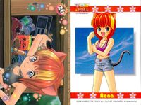 ひざの上の同居人 Kitty on Your Lap カード まとめ コレクション Mimi Rena Yuki キャラクター不明 9枚 8 31 2 3 4 19 26 17 6 サムネイル 9