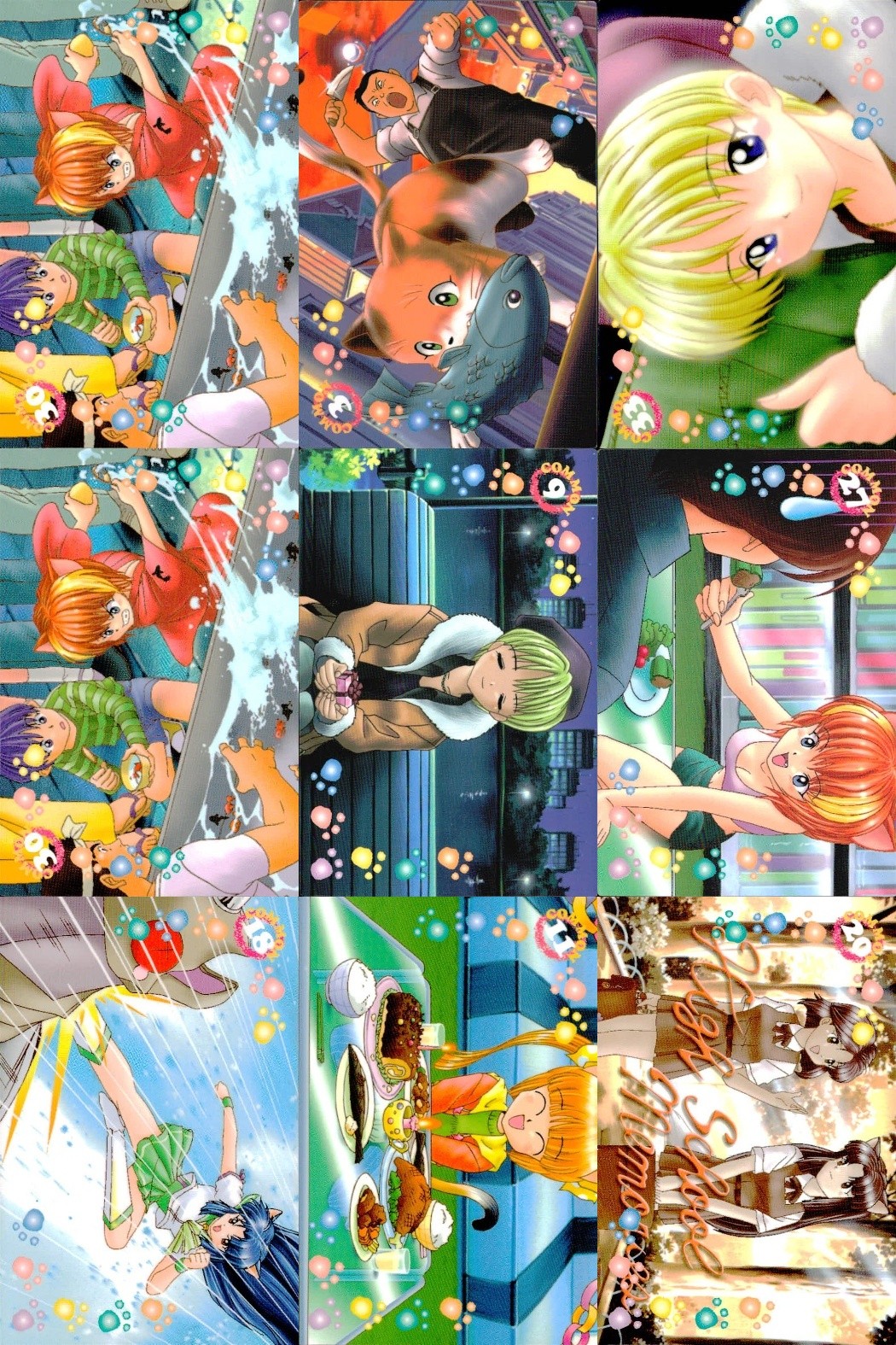 ひざの上の同居人 Kitty on Your Lap カード まとめ Rena Mimi Yuki 猫と男性 9枚 KANEKO コレクション