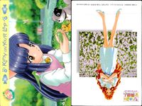 ひざの上の同居人 Kitty on Your Lap カード まとめ キャラクター Yuki Rena Mimi Yuki Rena 9枚 CULTURE PUBLISHERS コレクション サムネイル 7