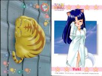 ひざの上の同居人 Kitty on Your Lap カード まとめ Yuki Rena Mimi 9枚 5 1 8 2 14 23 31 4 カルチャーパブリッシャーズ コレクション サムネイル 7