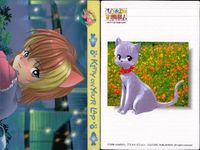ひざの上の同居人 Kitty on Your Lap カード まとめ COMIC Yuki Rena Mimi 9枚 7 1 3 4 2 5 31 13 23 KANEKO トレーディング サムネイル 3