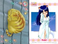 ひざの上の同居人 Kitty on Your Lap カード まとめ COMIC Yuki Rena Mimi 9枚 7 1 3 4 2 5 31 13 23 KANEKO トレーディング サムネイル 6