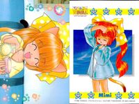 ひざの上の同居人 Kitty on Your Lap カード まとめ COMIC Yuki Rena Mimi 9枚 7 1 3 4 2 5 31 13 23 KANEKO トレーディング サムネイル 8