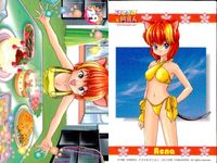 ひざの上の同居人 KITTY on Your LAP ひざの上の同居人 Kitty on Your Lap カード まとめ キャラクター Mimi Yuki Rena 9枚 KANEKO コレクション サムネイル 10