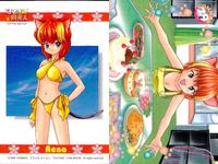 ひざの上の同居人 Kitty on Your Lap カード まとめ キャラクター Yuki Mimi Rena 9枚 KANEKO アストロビジョン CULTURE PUBLISHERS コレクション サムネイル 2
