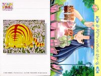 ひざの上の同居人 Kitty on Your Lap カード まとめ キャラクター Mimi トラ猫 茶トラ猫 Yuki Rena 9枚 KANEKO トレーディング サムネイル 4