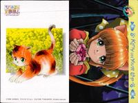 ひざの上の同居人 Kitty on Your Lap カード まとめ キャラクター Mimi トラ猫 茶トラ猫 Yuki Rena 9枚 KANEKO トレーディング サムネイル 5