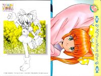 ひざの上の同居人 Kitty on Your Lap カード まとめ キャラクター Mimi Rena Yuki 9枚 KANEKO コレクション サムネイル 7
