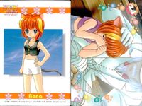 ひざの上の同居人 Kitty on Your Lap カード まとめ キャラクター Mimi Rena Yuki 9枚 KANEKO コレクション サムネイル 9