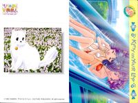 ひざの上の同居人 Kitty on Your Lap カード まとめ キャラクター ユキ レナ ミミ 白猫 9枚 KANEKO コレクション サムネイル 7