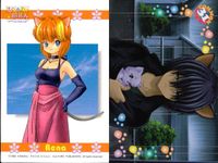 ひざの上の同居人 Kitty on Your Lap カード まとめ キャラクター ユキ レナ ミミ 白猫 9枚 KANEKO コレクション サムネイル 10