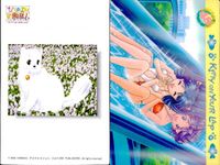 ひざの上の同居人 Kitty on Your Lap カード まとめ キャラクター Rena Mimi Yuki 白猫 9枚 KANEKO トレーディング サムネイル 9
