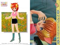 ひざの上の同居人 Kitty on Your Lap カード まとめ Yuki Rena Mimi 9枚 KANEKO コレクション サムネイル 10