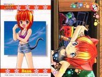 ひざの上の同居人 Kitty on Your Lap カード まとめ ミミ ユキ レナ 9枚 KANEKO コレクション サムネイル 5