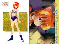ひざの上の同居人 Kitty on Your Lap カード まとめ ミミ ユキ レナ 9枚 KANEKO コレクション サムネイル 9