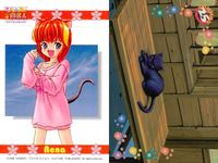 ひざの上の同居人 Kitty on Your Lap カード まとめ キャラクター レナ ミミ ユキ 黒猫 9枚 カネコ コレクション サムネイル 3