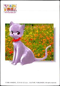 ひざの上の同居人 -KITTY ON YOUR LAP- ひざの上の同居人 Kitty on Your Lap カード トレカ 59 CULTURE PUBLISHERS コレクション サムネイル 1