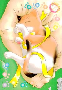 ひざの上の同居人 -KITTY ON YOUR LAP- ひざの上の同居人 Kitty on Your Lap カード ミミ トレカ KANEKO コレクション サムネイル 2