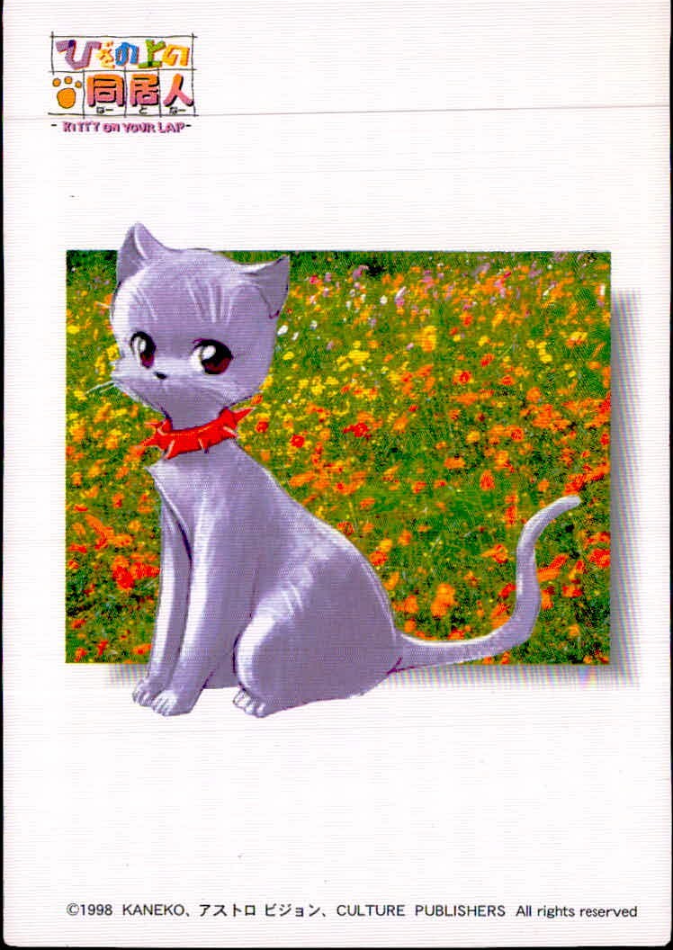 ひざの上の同居人 -KITTY ON YOUR LAP- ひざの上の同居人 Kitty on Your Lap カード みい トレカ CULTURE PUBLISHERS コレクション