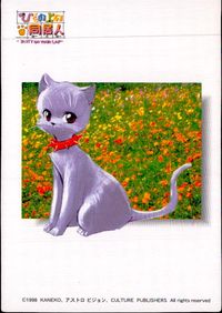 ひざの上の同居人 -KITTY ON YOUR LAP- ひざの上の同居人 Kitty on Your Lap カード みい トレカ CULTURE PUBLISHERS コレクション サムネイル 1