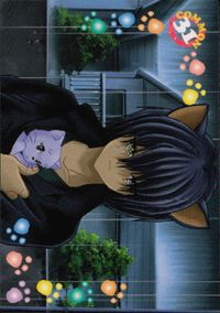 ひざの上の同居人 -KITTY on YOUR LAP- ひざの上の同居人 Kitty on Your Lap カード レナ トレカ COMMON CULTURE PUBLISHERS コレクション サムネイル 2
