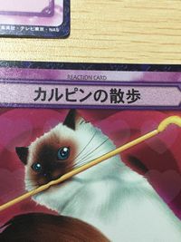 テニプリ テニスの王子様 カードゲーム テニスの王子様 カルピン カード まとめ リアクション キャラクター カルピンの冒険 カルピン カルピンの散歩 3枚 03073 07028R 01072R コナミ TCG サムネイル 5
