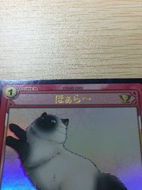 テニプリ テニスの王子様 テニスの王子様 カルピン ほぁら～ カード ほぁら〜 トレカ 07058PR SP コナミ TCG サムネイル 5