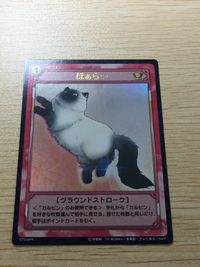 テニプリ テニスの王子様 テニスの王子様 カルピン ほぁら～ カード ほぁら〜 トレカ 07058PR SP コナミ TCG サムネイル 6