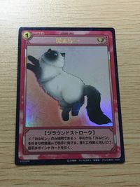 テニプリ テニスの王子様 テニスの王子様 カルピン ほぁら～ カード ほぁら〜 トレカ 07058PR SP コナミ TCG サムネイル 2