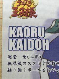 テニプリ テニスの王子様 テニスの王子様 プリンスレア テニプリ カード KONAMI カード 海堂薫 トレカ CARD NO.18 コナミ キャラクター サムネイル 7