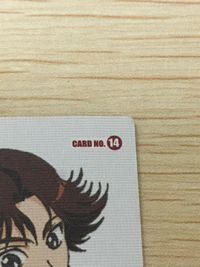 テニプリ テニスの王子様 テニスの王子様 プリンスレア テニプリ カード KONAMI カード 菊丸英二 トレカ CARD NO.14 コナミ コレクション サムネイル 4