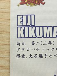 テニプリ テニスの王子様 テニスの王子様 プリンスレア テニプリ カード KONAMI カード 菊丸英二 トレカ CARD NO.14 コナミ コレクション サムネイル 6