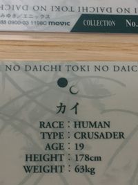 刻の大地 ラミネート ラミカ刻の大地 カード まとめ COLLECTION カイ ジェンド 2枚 No.002 No.003 movic ラミネートカード(ラミカ) サムネイル 9