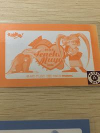 天地無用！ ラミネート ラミカ 天地無用 カード まとめ ラミカ 美星 キヨネ 鷲羽 阿重霞 砂沙美 天地 魎呼 砂沙美 魎御津 5枚 0495-A 0495-B 0495-C 1194-A 1194-B movic ラミネート サムネイル 12
