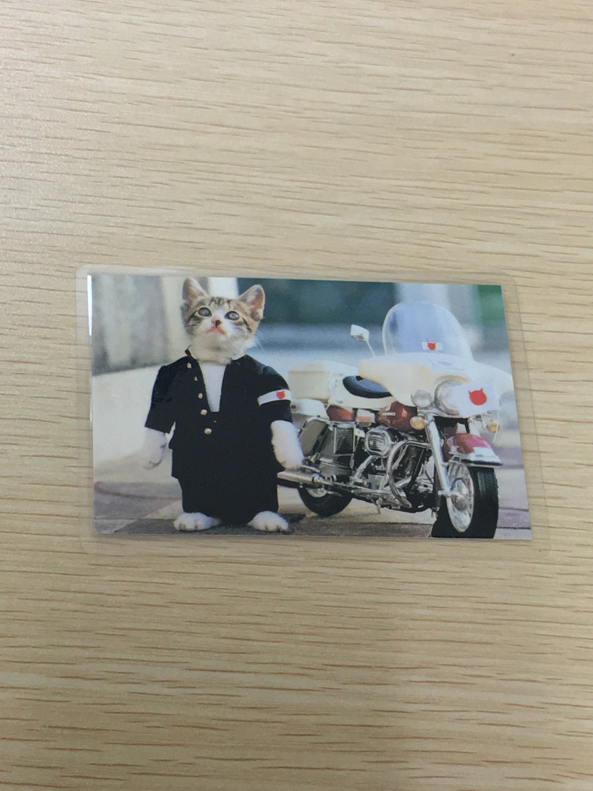なめ猫 全日本暴猫連合 なめんなよ ラミネート ラミカ なめんなよ なめ猫 なめんなよ 警官猫 トレカ BR-119 TRY-X CO.LTD ラミネートカード(ラミカ)