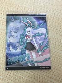 One Piece Carddass Carrot Card No.9-25 Normal Japanese Anime wafer FOIL UNOPENED