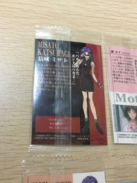 新世紀エヴァンゲリオン エヴァンゲリオン ウエハース カード まとめ キャラクター 葛城ミサト 碇ユイ 惣流 アスカ ラングレー 渚カヲル 洞木ヒカリ 6枚 C-16 C-20 C-15 C-23 C-19 バンダイ ウエハース サムネイル 11