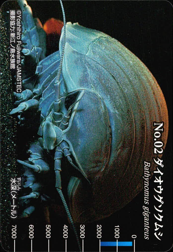 Meiji Seibutsu Zukan No.02 Giant Isopod Card Japanese