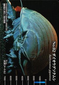 Meiji Seibutsu Zukan No.02 Giant Isopod Card Japanese サムネイル 1