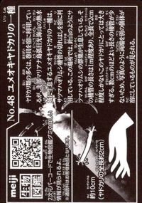 明治 生物図鑑グミ meiji 生物図鑑 海洋生物 カード カード ユメオキヤドカリの一種 トレカ No.48 明治(meiji) 食玩 サムネイル 2