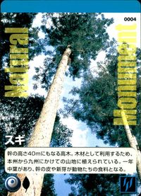 ナチュラルモニュメンツ Natural Monuments わがままな天然列島 日本の天然記念物 Natural monuments わがままな天然列島 カード カード スギ トレカ 0004 海洋堂 小学館 TCG サムネイル 1