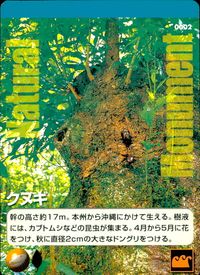 Natural Monuments Wagamama Tennen Retto Kunugi Card #0002 Japanese TCG サムネイル 1