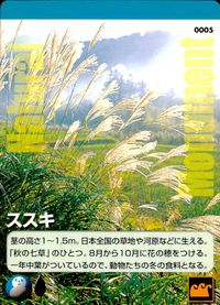 天然記念物 Natural Monuments わがままな天然列島 日本の天然記念物 Natural monuments わがままな天然列島 カード カード ススキ トレカ 0005 海洋堂 小学館 TCG サムネイル 1