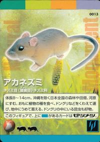 Natural Monuments わがままな天然列島 日本の天然記念物 Natural monuments わがままな天然列島 カード カード アカネズミ トレカ 0013 海洋堂 小学館 サムネイル 1