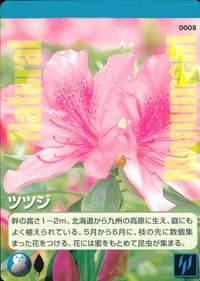 Natural Monuments Wagamama Tennen Retto Tsutsuji #0008 Card Japanese サムネイル 1