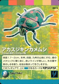 ナチュラルモニュメンツ Natural Monuments わがままな天然列島 日本の天然記念物 Natural monuments わがままな天然列島 カード カード アカスジキンカメムシ トレカ 0012 海洋堂 小学館 サムネイル 1