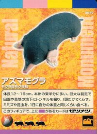 Natural Monuments わがままな天然列島 日本の天然記念物 Natural monuments わがままな天然列島 カード カード アズマモグラ トレカ 0039 海洋堂 小学館 日本の天然記念物公式TCG サムネイル 1